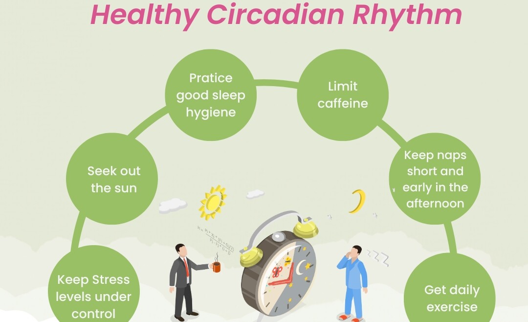 Healthy Circadian Rhythm