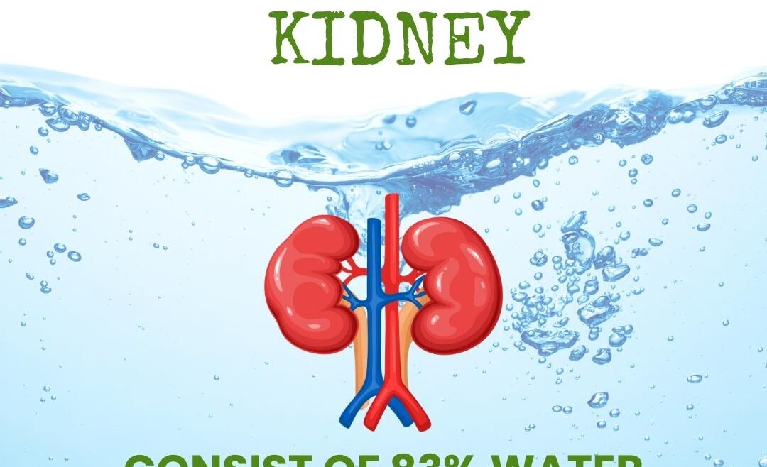 Kidney Health