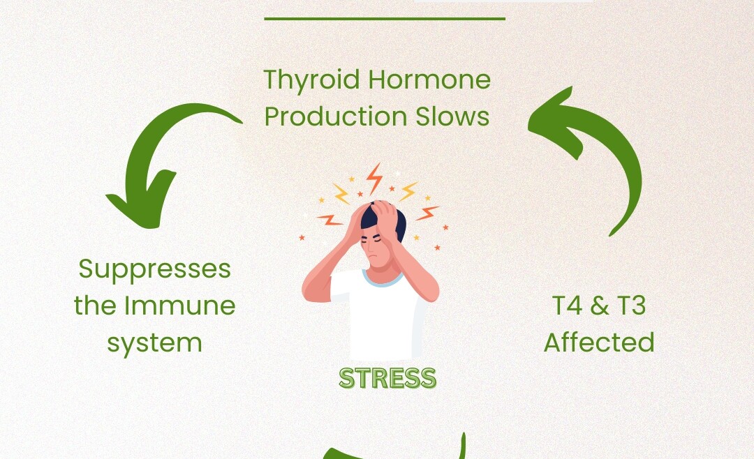 How Chronic Stress Affects Your Thyroid