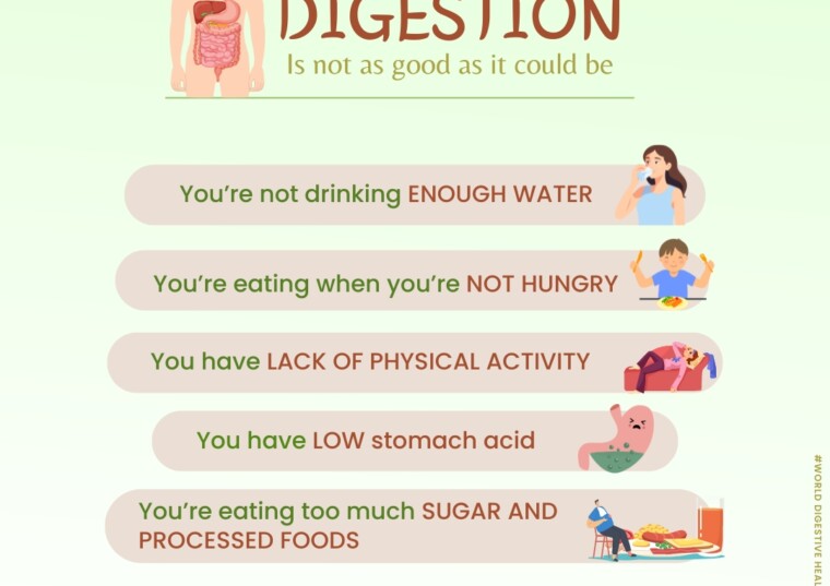 World Digestive Health Day