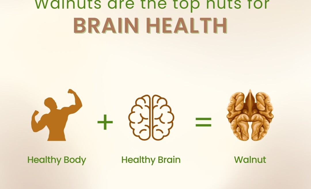 Walnuts are the top nuts for Brain Health