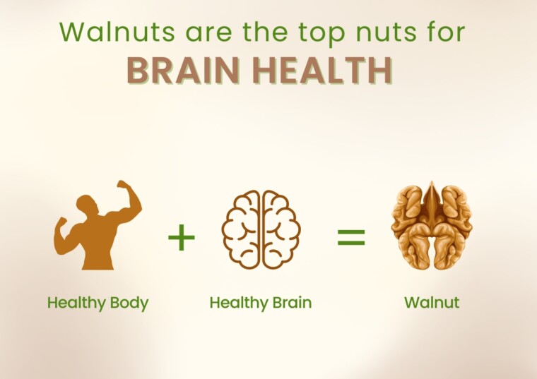 Walnuts are the top nuts for Brain Health