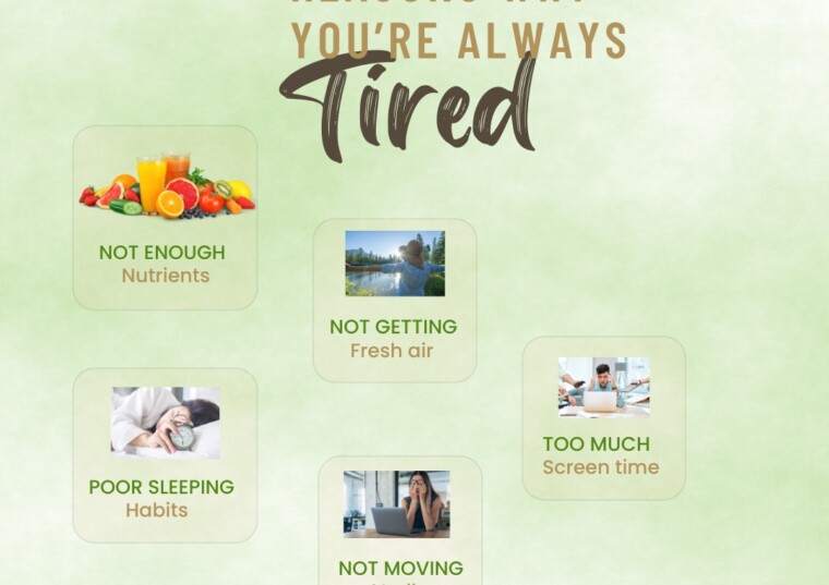 The reasons why you’re always Tired