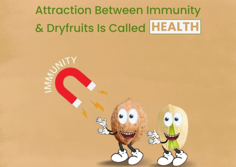 Attraction Between Immunity & Dryfruits Is Called health