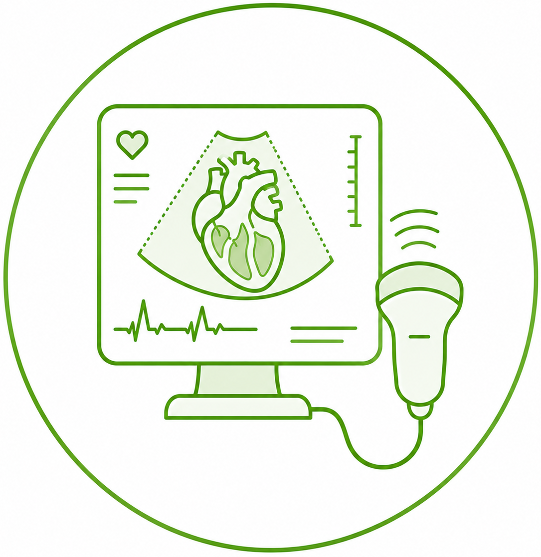 Echocardiogram